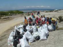 Moot La Serena (Chile)